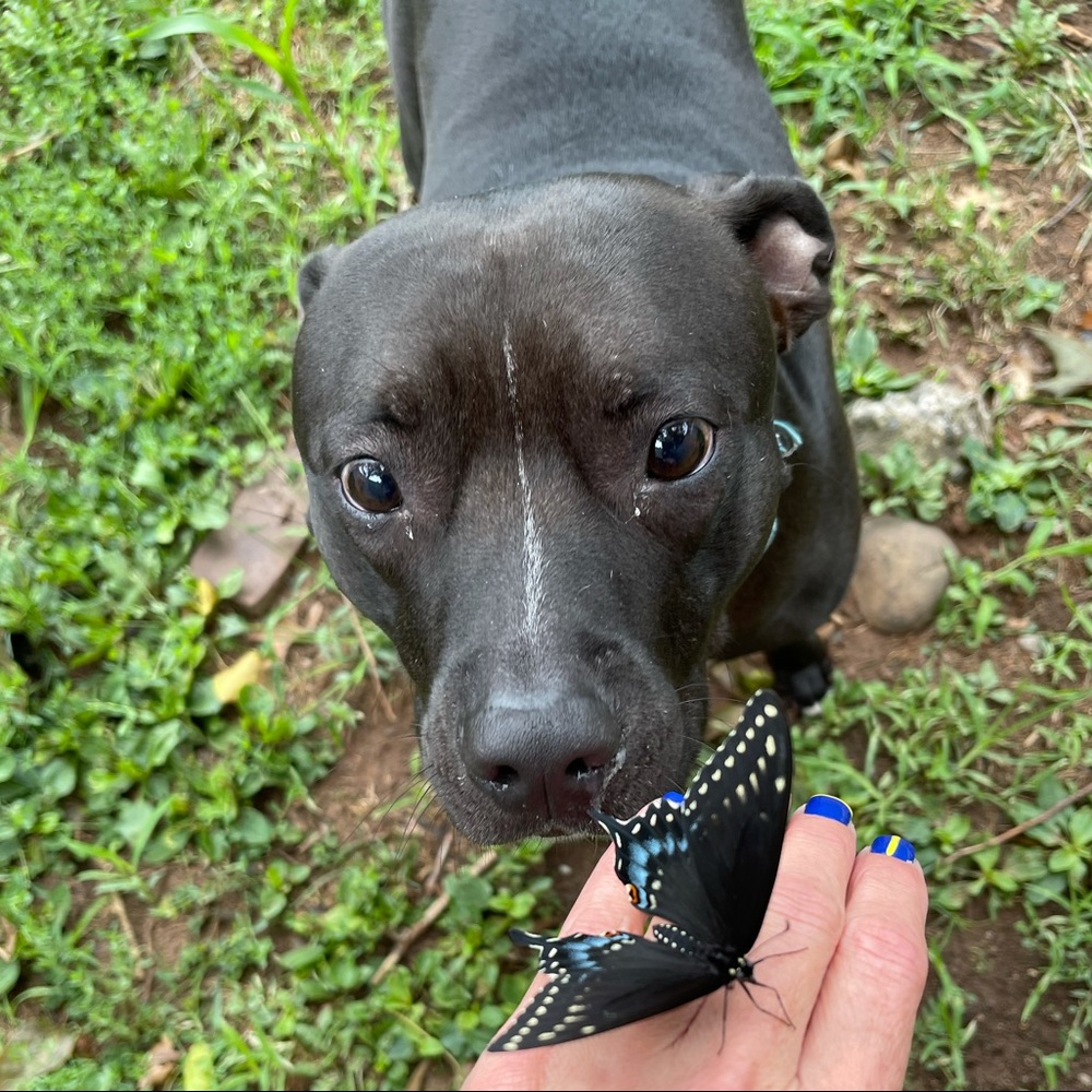 Meet your Posher, Nora